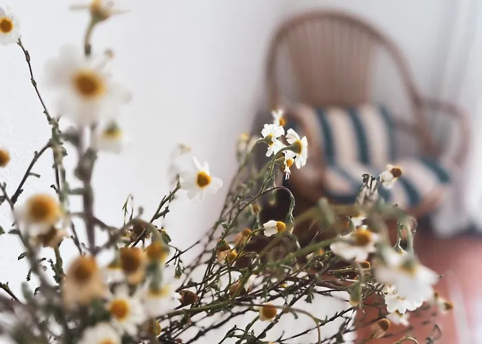 Philip's House Hébergement de vacances *